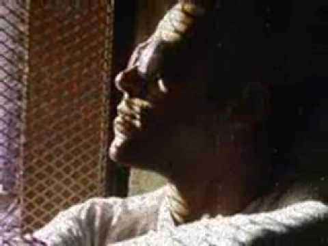 Tamer Ashour - kul youm - تامر عاشور كل يوم