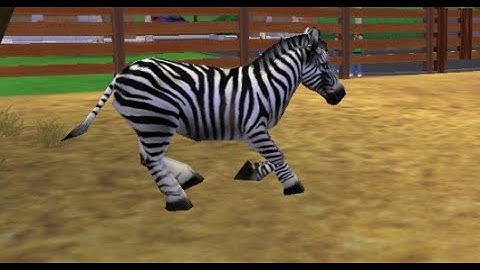 Zoo Tycoon 2 Campaign 2 Start Up Zoo No Commentary
