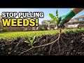 Stop Pulling Weeds - Do This Instead 
