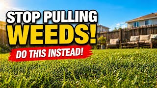 Stop Pulling Weeds - Do This Instead 