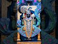 Jay Dwarkadhish 🙌🥰 #dwarkadhish #jaydwarkadhish #dwarka #kano #kanudo #shortvideo #viral #viralvideo