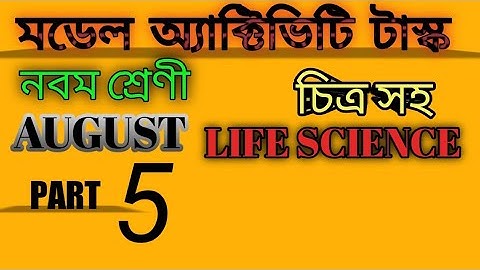 Model Activity Task Class 9 life science Part 5 #modelactivitytask #lifescience #class9 #wbbse
