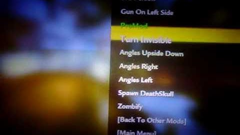 WaW Modded Zombies Phoenix v2.1