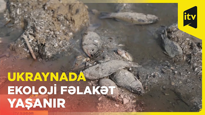 Minlərlə ölü balıq bənd dağıldıqdan sonra Kaxovka su anbarının sahillərində