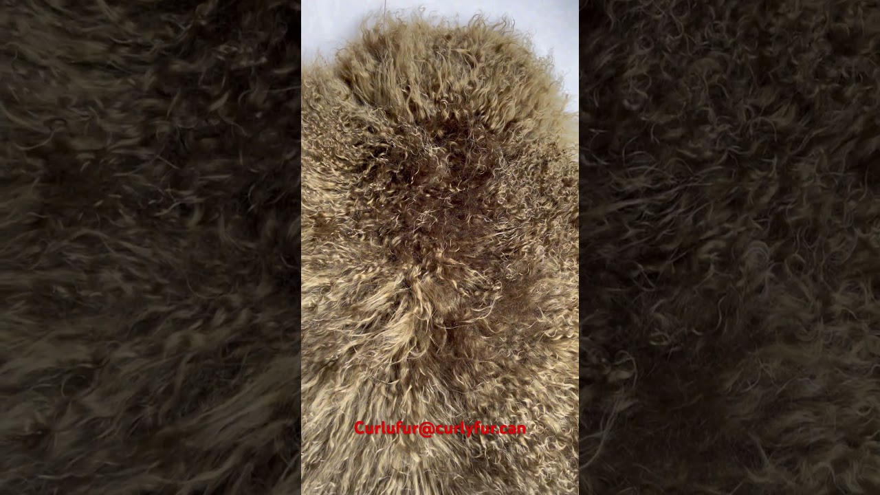 Why this Tibetan sheepskin change the color??? 