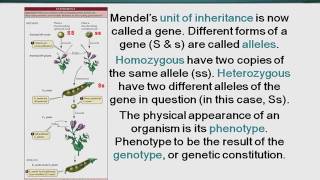 Topic 49 (BIO201 - Cell Biology)