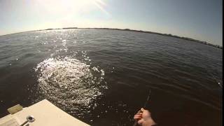 May 2014 Fishing for striped bass, Bluefish and Fluke.