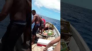 Fishing For Yellowfin In Pohnpei 072423