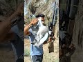 شاهد صيد الطبن صيد طيور حيوانات العراق السعودية الكويت الامارات قطر عمان 