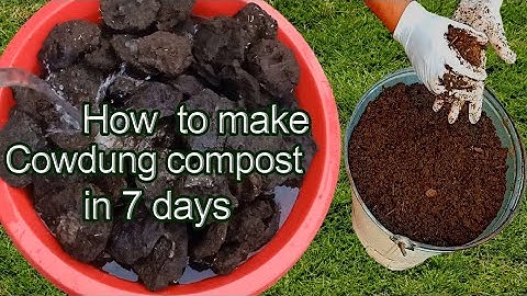 How to make compost from cow dung | How to decompose cow dung