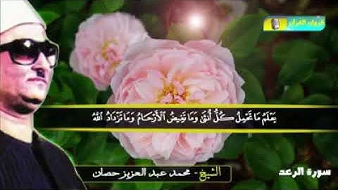 الشيخ محمـد عبدالعزيـز حصــان وما يتيسر من سورة الرعد  🌹الله يعلم ما تحمل كل انثي 🌹
