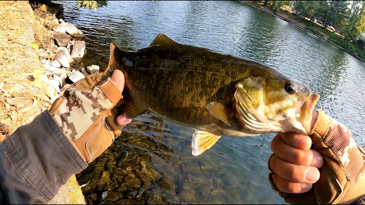 Urban Bass Fishing in Seattle – The Fremont Cut