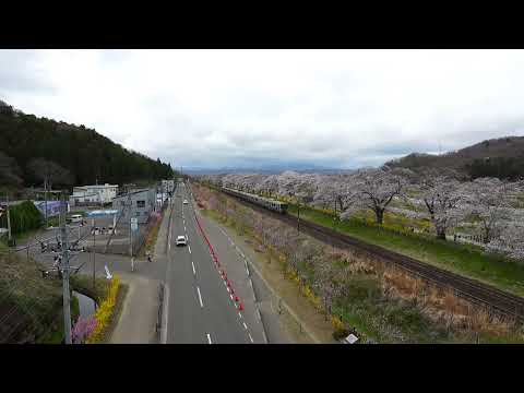 白石川千桜公園と東北本線（しばた千桜橋から）　＃桜＃