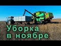 Уборка подсолнуха ДОН 1500 б.