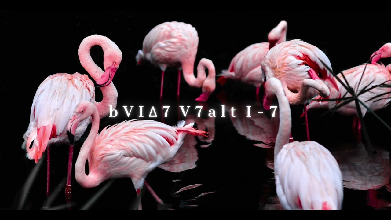 C# Minor b6-5-1 Backing Track (Mellow Groove)