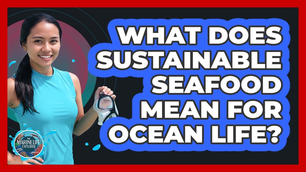 What Does Sustainable Seafood Mean For Ocean Life?
