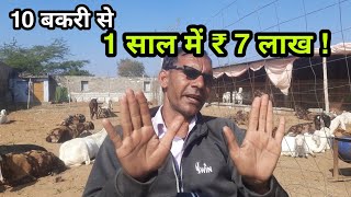 10 बकरी 1 साल में 7 लाख कमाकर देती है ! 10 bakri kitna profit deti hai | sukant chawla | pkraj vlogs