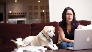 Getting started at OSU Ecampus