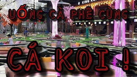 KING KOI COFFEE GARDEN | QUÁN CÀ PHÊ SIÊU NHIỀU CÁ KOI VÀ SIÊU ĐẸP Ở SÀI GÒN.