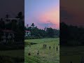 Everyone longs for an evening like this | #shorts #shortsfeed #trending #cinematalkieslive