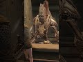 Bypassing Skyrim's order bot. #Skyrim #Gaming #Shorts