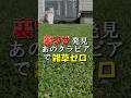 クラピアの裏ワザ発見!ついに完璧な雑草対策 #kurapia #雑草対策 #グランドカバー #芝生 #ガーデニング #猫のいる暮し