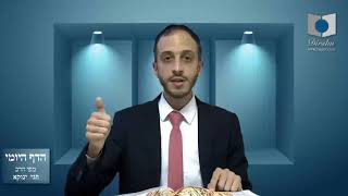 הדף היומי מסכת סנהדרין דף קה הרב חגי ינוקא