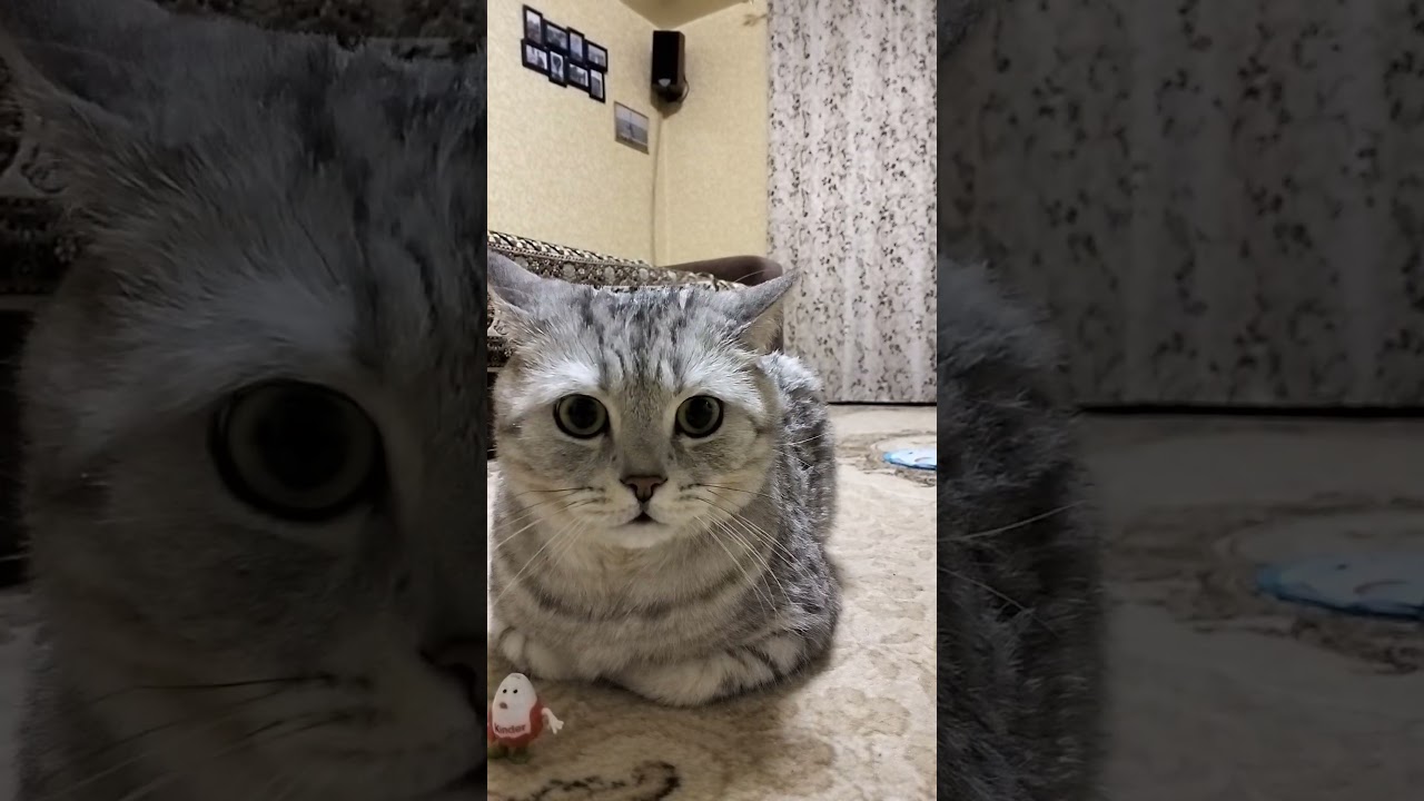 Кто эти люди?;? 