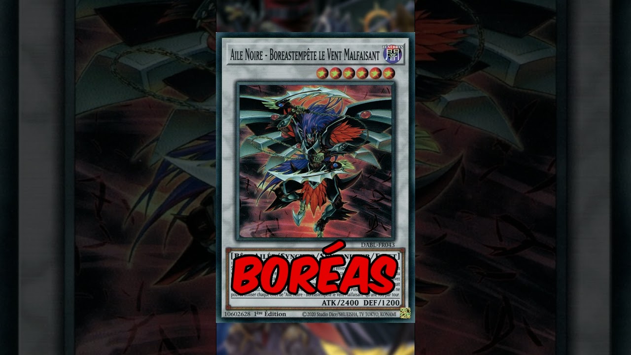 🔥🖤 ENVIE DE JOUER AILE NOIRE QUI DETRUIT LA META ? 🖤🔥 