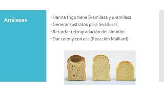 Enzimas en la industria de alimentos