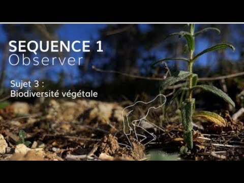 Un monde de plantes : secrets et merveilles botaniques – Tela Botanica