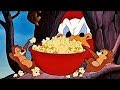 ᴴᴰ Pato Donald y Chip y Dale dibujos animados - Pluto, Mickey Mouse Episodios Completos Nuevo 2018