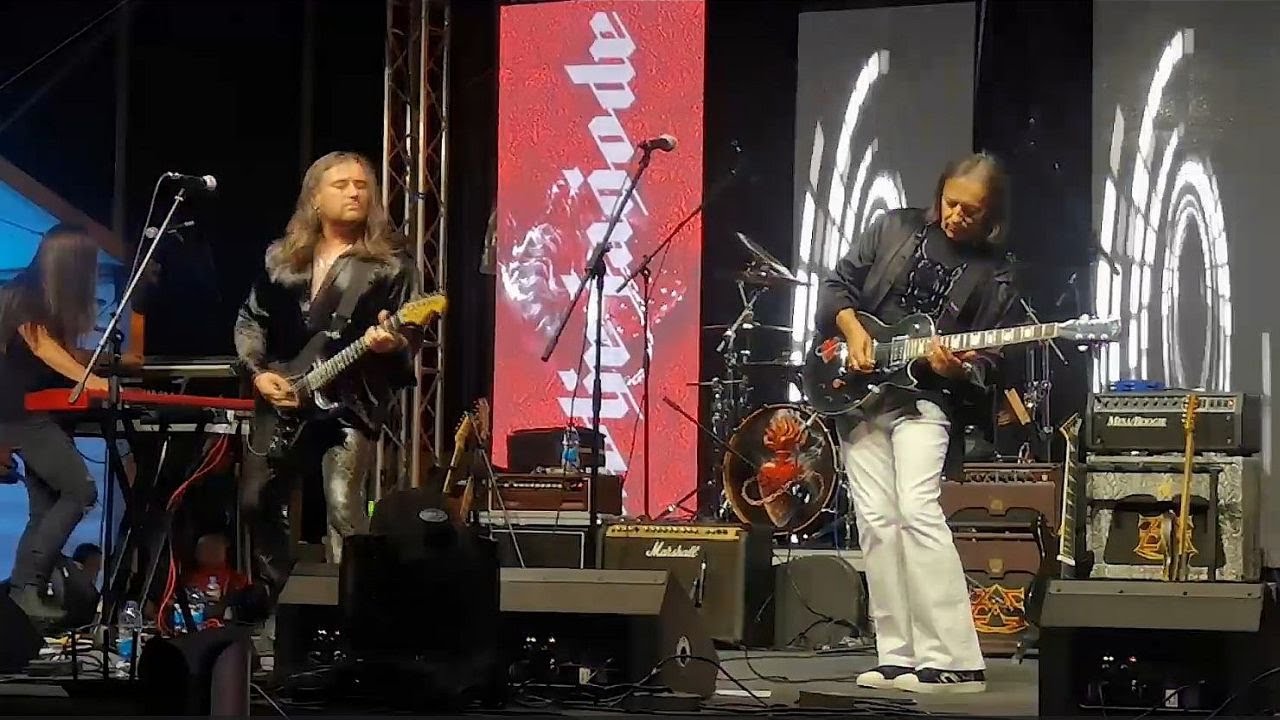 Divlje jagode koncert u Zenici 2024