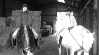 Horses2010