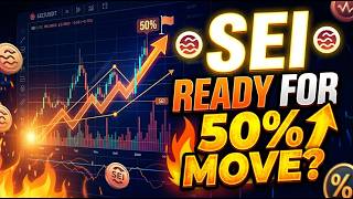 Celebrity SEI Futures Volume Explodes | Smart Money Moving In?-sie coin Wealth