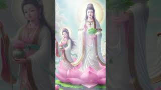 普陀山南海观音菩萨 #music #治愈 #中文 #中国 #冥想 #love #音乐 #relaxingmusic