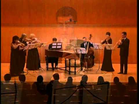 Johann Sebastian Bach - Concerto for Oboe and Violin / BWV 1060 - (2/3)
