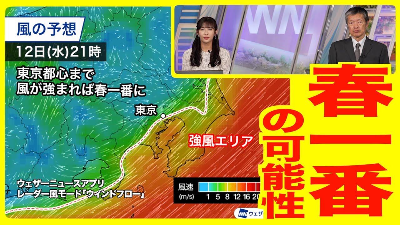 【春一番】関東は沿岸部で南風が強まる・強風エリア広がれば春一番も