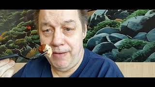 Sanji Hibachi in Edwardsville Pennsylvania - 4 11 2026 The Steak Hibachi Review
