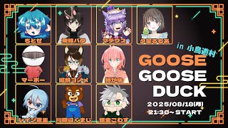 2025.08.18　＃小鳥遊村　＃グースグースダック
