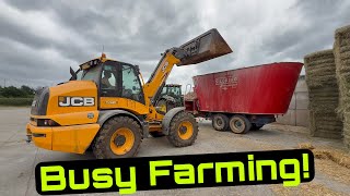 Download Lagu JCB 535-95 on Stacking Bales! Things are Getting Busy! MP3 Download Lagu JCB 535-95 on Stacking Bales! Things are Getting Busy! MP3
