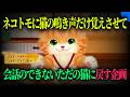 ""野生に帰れ""