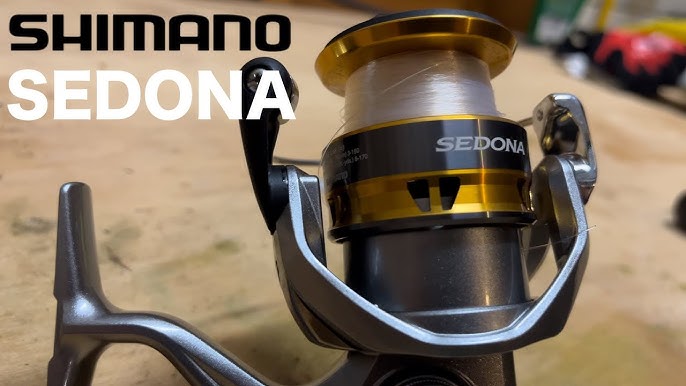 THE BEST SHIMANO FISHING REELS FOR THE MONEY - Casting Reels 