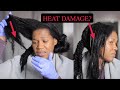 RUINED MY NATURAL HAIR? HEAT DAMAGE? Watch Me Revert My Hair