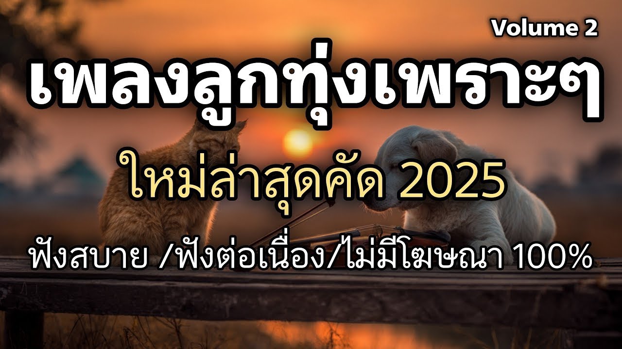 ไม่มีโฆษณา 100% 