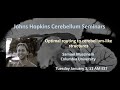 Samuel Muscinelli: Optimal routing to cerebellum-like structures
