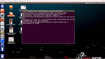 Mount a Logical Partition