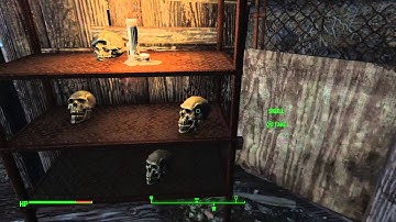 Fallout 4 Jangles the moon monkey