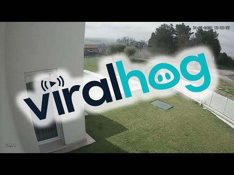 Racing Ferraris Crash into Fence || ViralHog