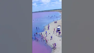 Розовое озеро в Крыму и толпы людей на его берегу.